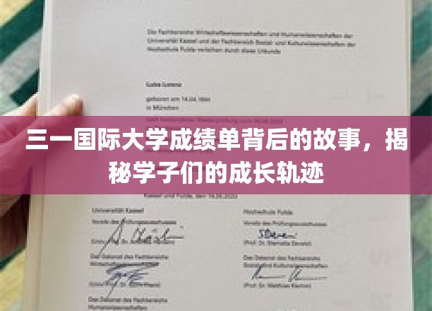 三一学子足迹，揭开成绩单背后的成长篇章