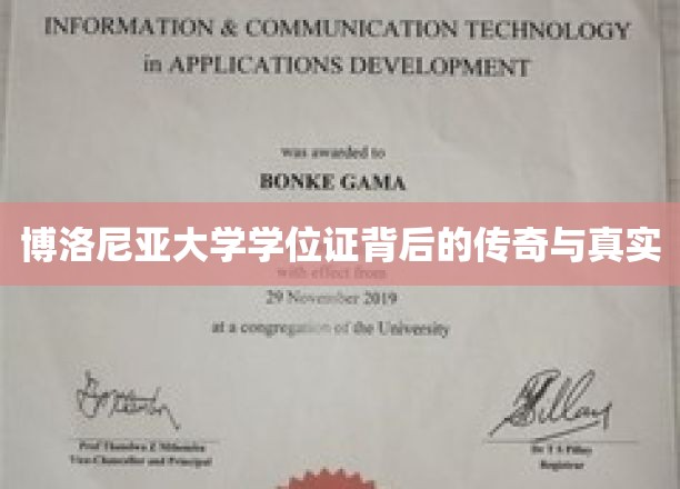 博洛尼亚大学学位证，揭开历史尘埃中的辉煌与真相