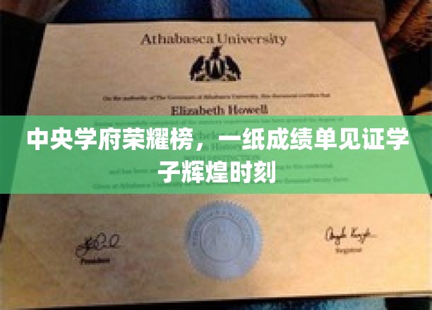 荣耀榜上名校风采，学子成就映照学术辉煌