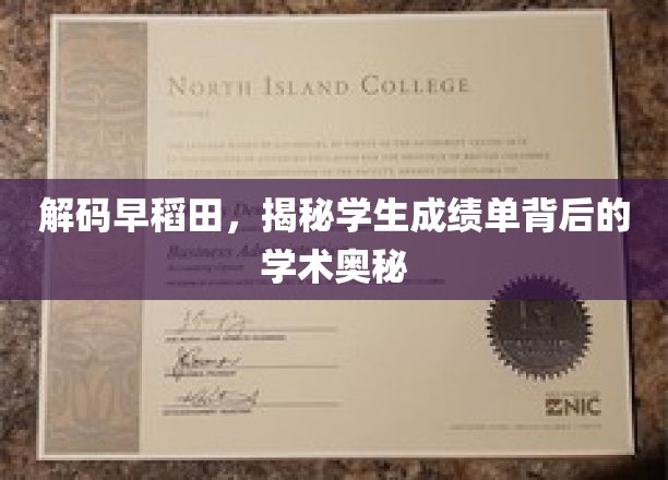 探寻早稻田成绩单，揭开学术卓越的神秘面纱