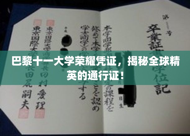 巴黎十一大学荣耀凭证，揭秘全球精英的通行证！
