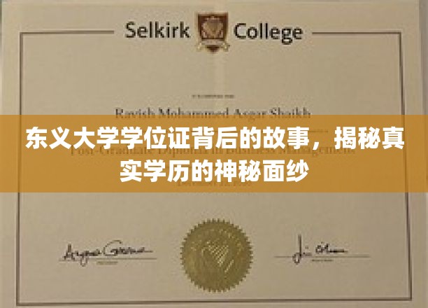 东义大学学位证之谜，揭开学历认证的神秘面纱