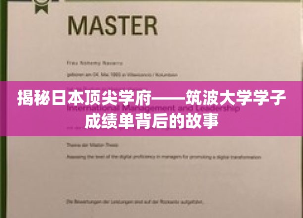 探秘筑波大学，卓越学子背后的非凡成长轨迹