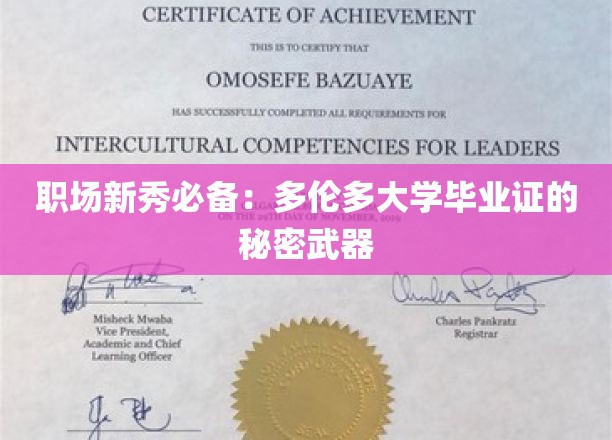 职场新秀必备：多伦多大学毕业证的秘密武器