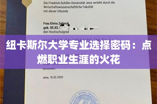 纽卡斯尔大学专业选择密码：点燃职业生涯的火花