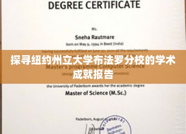 探寻纽约州立大学布法罗分校的学术成就报告