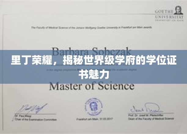 探寻里丁荣耀，世界级学府学位证书的神秘魅力