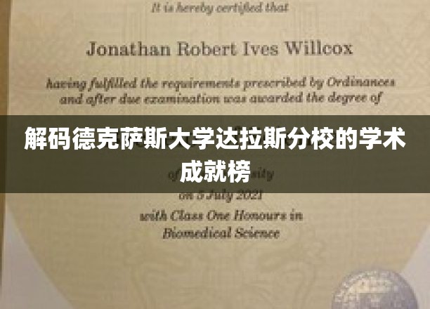 德克萨斯大学达拉斯分校，揭秘卓越学术背后的秘密力量