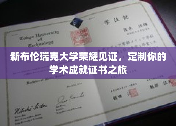 新布伦瑞克大学荣耀见证，定制你的学术成就证书之旅