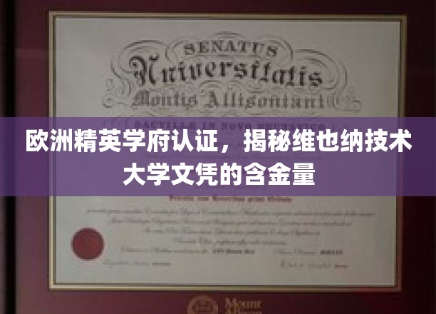欧洲精英学府认证，揭秘维也纳技术大学文凭的含金量