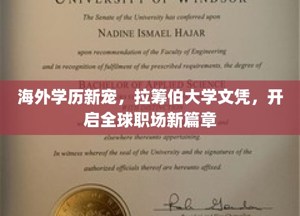 国际职场新通行证，拉筹伯大学学位引领留学新趋势