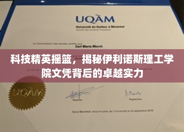 科技精英摇篮，揭秘伊利诺斯理工学院文凭背后的卓越实力
