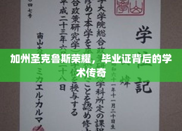 加州圣克鲁斯荣耀，毕业证背后的学术传奇