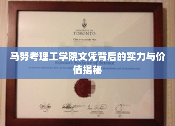 马努考理工学院文凭，揭秘其背后的实力与价值内涵