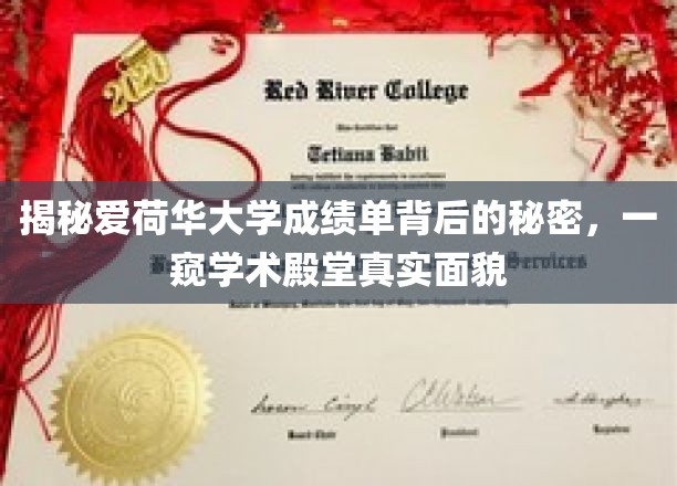 爱荷华大学成绩单揭秘，探秘学术圣地的真实画像