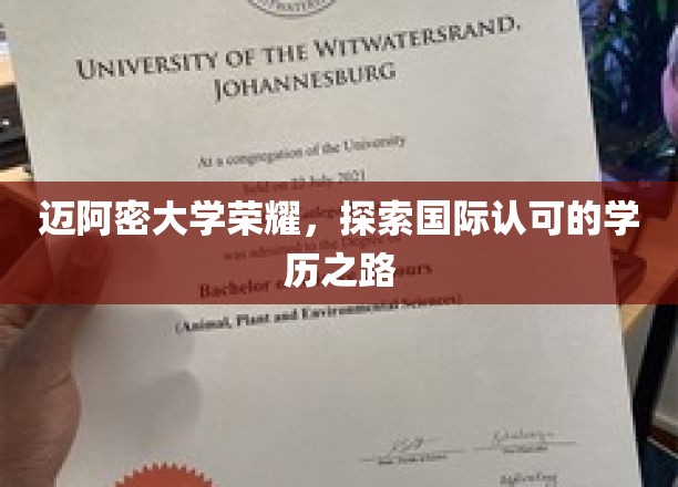 迈阿密大学荣耀之旅，解锁全球认可的学术殿堂