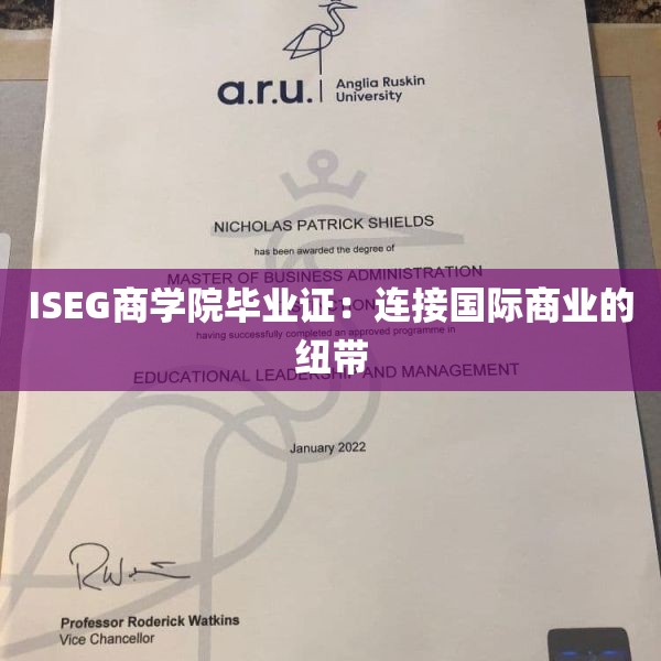 ISEG商学院毕业证：连接国际商业的纽带