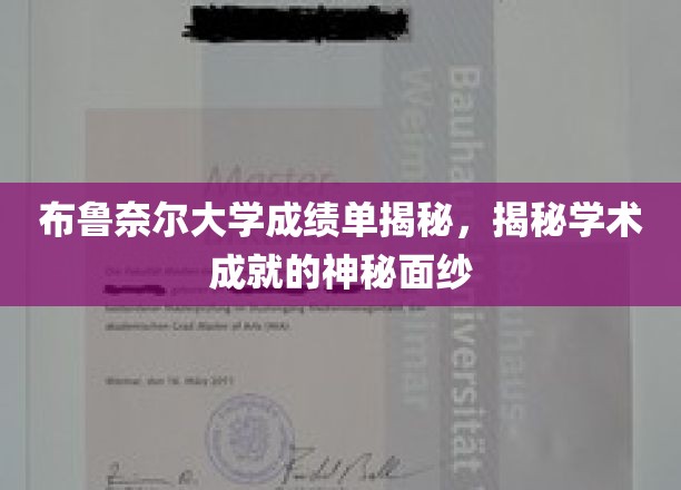 揭开布鲁奈尔大学成绩单背后的学术奥秘