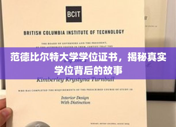 解码范德比尔特大学，探寻学位证书背后的传奇故事