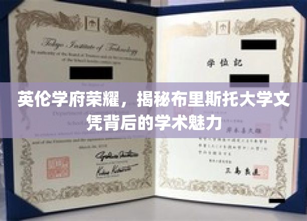 探索布里斯托大学荣耀，文凭背后的学术奥秘