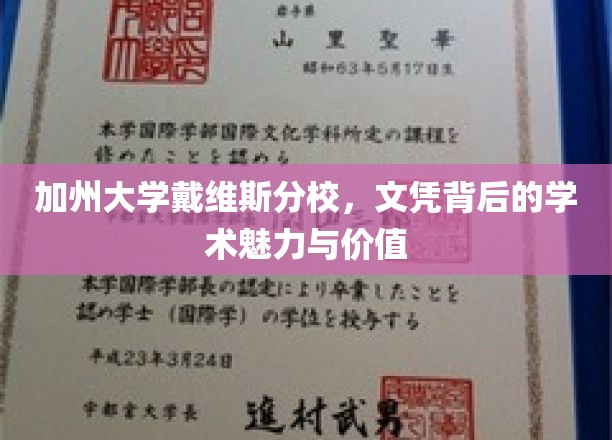 加州大学戴维斯分校，文凭背后的学术魅力与价值