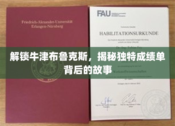解锁牛津布鲁克斯，揭秘独特成绩单背后的故事