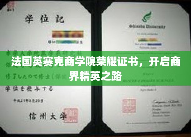 商界荣耀启航，法国英赛克商学院证书引领精英新篇章