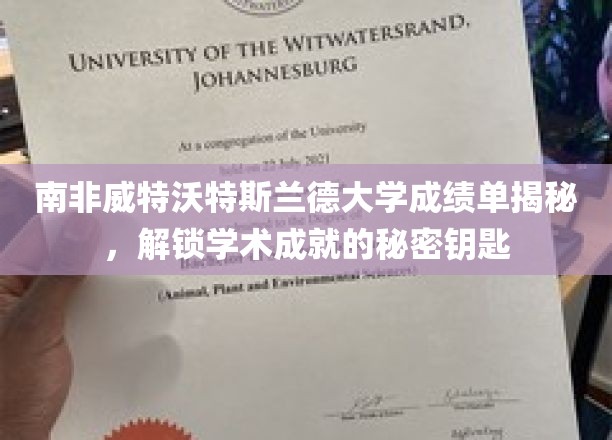 解码威特沃特斯兰德大学，揭秘学术精英背后的成绩单秘密