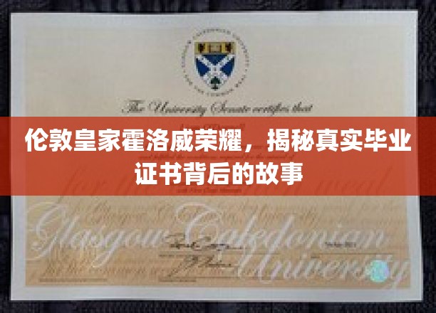 伦敦皇家霍洛威荣耀，揭秘真实毕业证书背后的故事