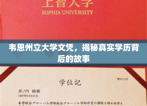 韦恩州立大学文凭，揭秘真实学历背后的故事