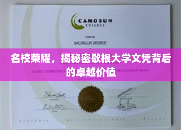 名校荣耀，揭秘密歇根大学文凭背后的卓越价值