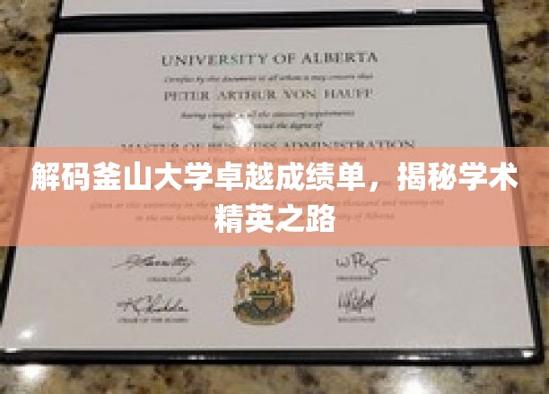 釜山大学学霸养成记，揭秘卓越成绩背后的秘密之道