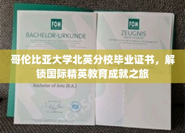 哥伦比亚大学北英分校荣耀成就，解锁全球精英教育新篇章
