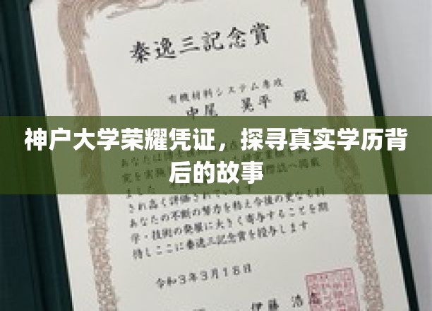 神户大学学历之谜，揭开荣耀背后的真实轨迹