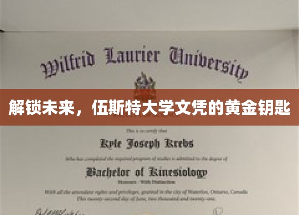 解锁未来，伍斯特大学文凭的黄金钥匙