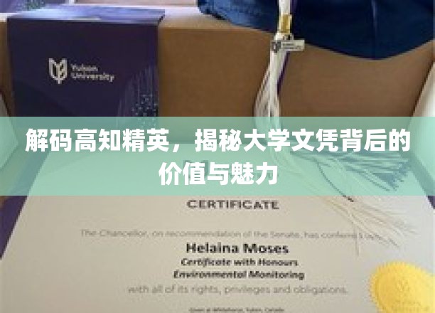 探寻高知精英之谜，大学文凭的价值与无限魅力