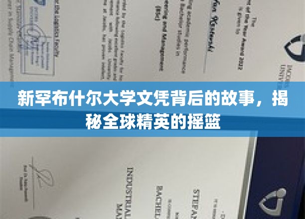 探寻新罕布什尔大学，精英培育的神秘摇篮