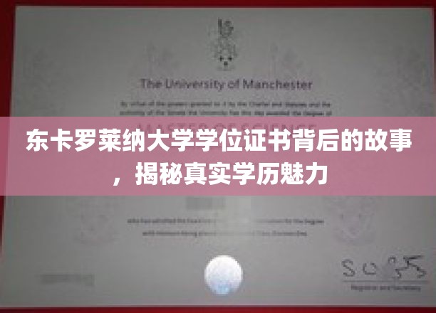东卡罗莱纳大学学位证书背后的故事，揭秘真实学历魅力