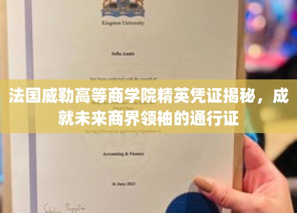 解码威勒精英之路，商界领袖的通行证揭秘