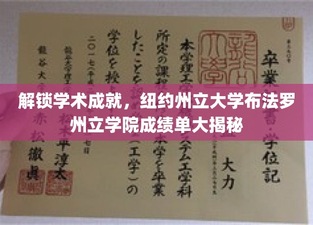 破译智慧殿堂，纽约州立布法罗学院揭秘学术巅峰之路