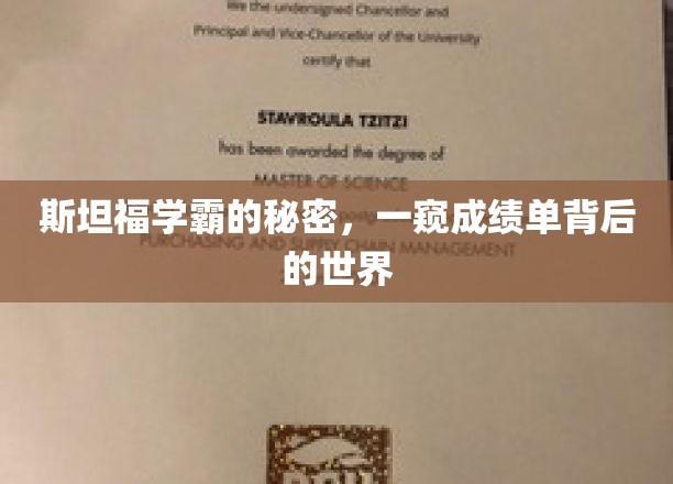 解码斯坦福精英，揭秘学霸背后的非凡故事