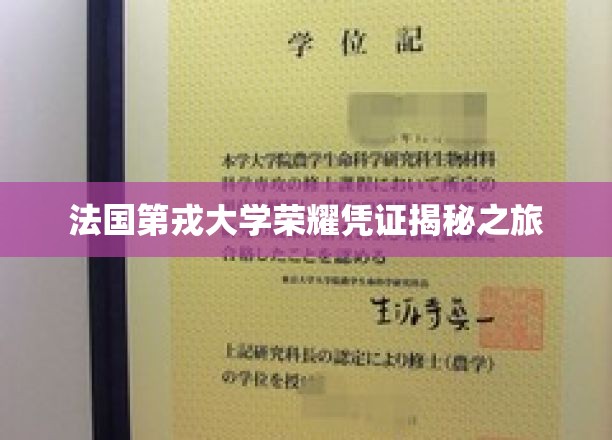 解码法国第戎大学，探寻荣耀凭证背后的故事