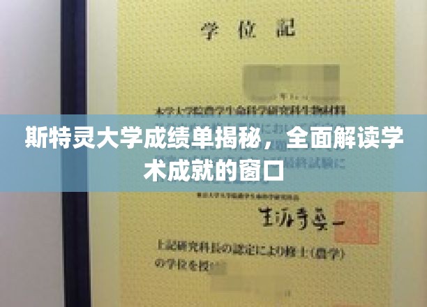 斯特灵大学成绩单揭秘，全面解读学术成就的窗口