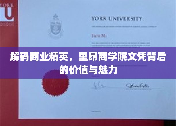 探寻里昂商学院文凭的非凡价值与无限魅力