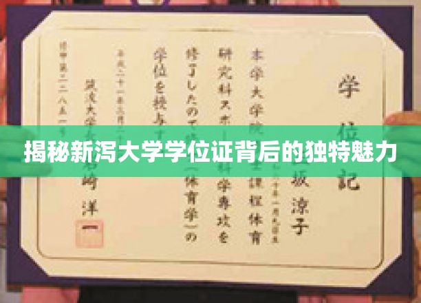 新泻大学学位证，探寻背后的文化密码与魅力所在
