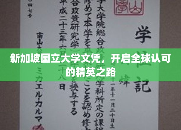 新加坡国立大学文凭，引领国际精英梦之旅
