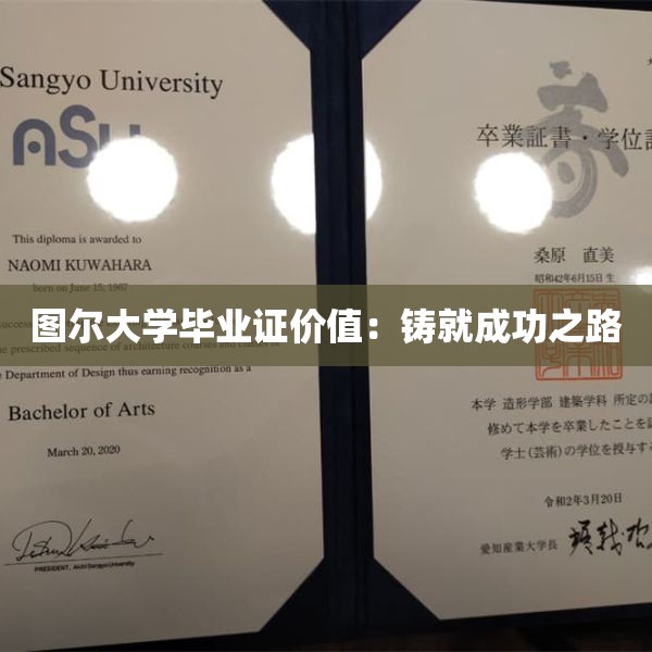 图尔大学毕业证价值：铸就成功之路