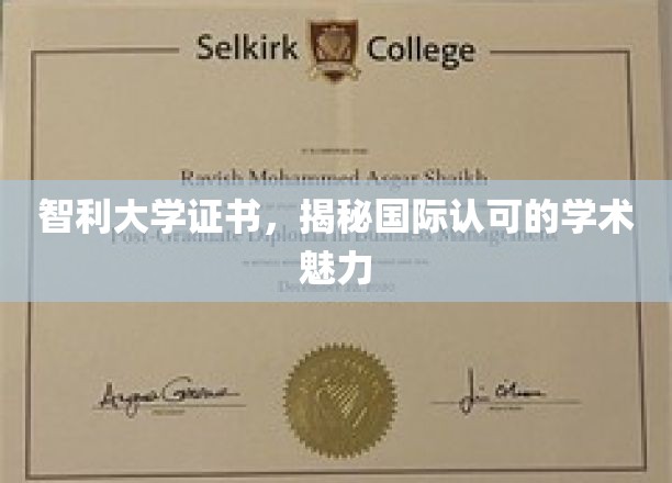 解码智利大学证书，国际认可的学术之光