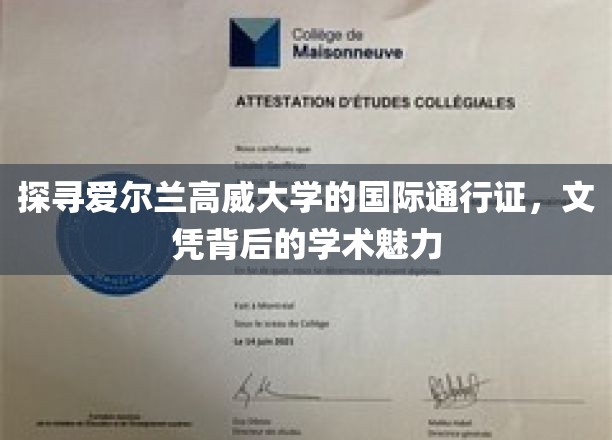 解码高威大学，国际视野下的学术精英摇篮