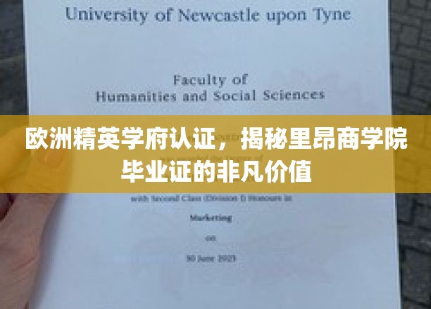 欧洲精英学府光环下的里昂商学院，毕业证书背后的非凡魅力与价值